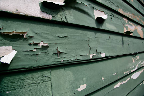 Best Stucco Siding  in Dumont, NJ