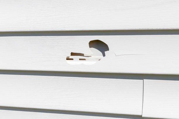 Best Stone Veneer Siding  in Dumont, NJ