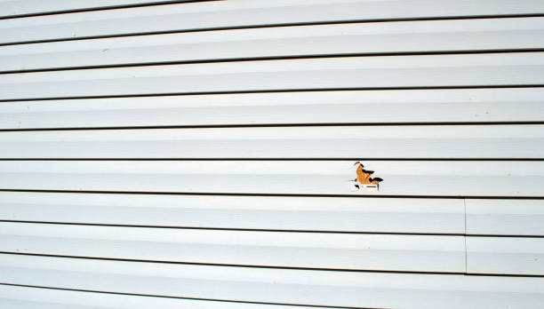 Best Residential Vinyl Siding Installation  in Dumont, NJ