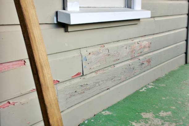Best Historical Building Siding Restoration  in Dumont, NJ