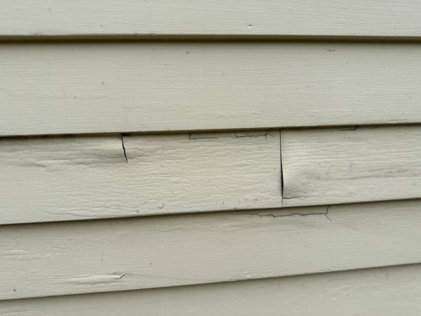 Best Composite Siding  in Dumont, NJ